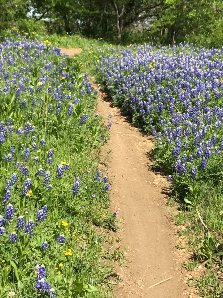 Cedar Hill State Park Trails